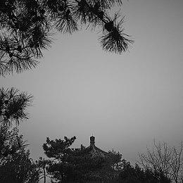 25年最期待的国产肉鸽卡牌游戏《咒语回声》